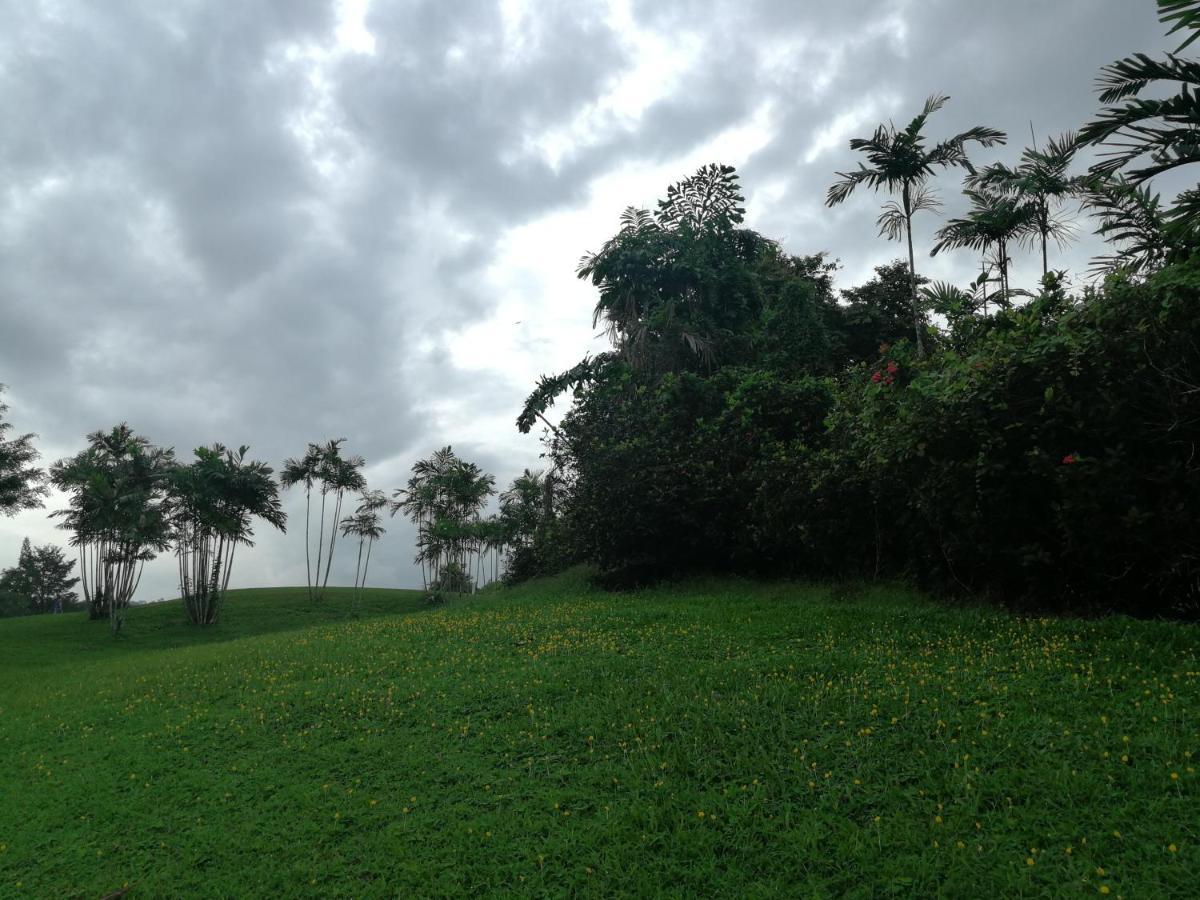 Fuxi Fruit Garden Villa Langkawi 富囍休闲度假水果园别墅兰卡威 Kuah Zewnętrze zdjęcie